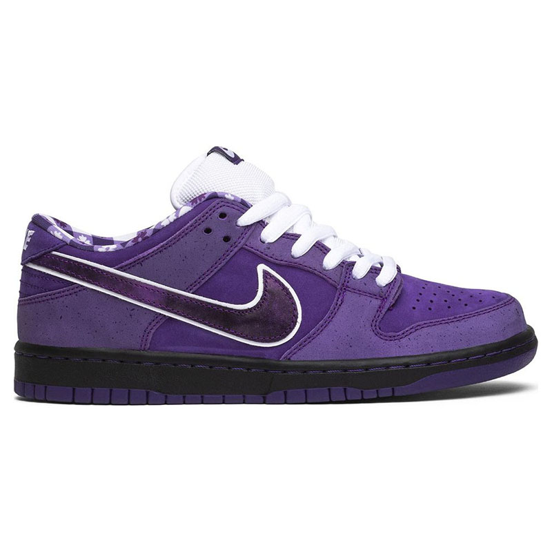 CONCEPTS X DUNK LOW SB 