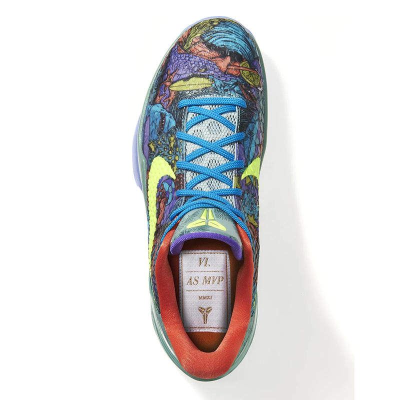Zoom Kobe 6 