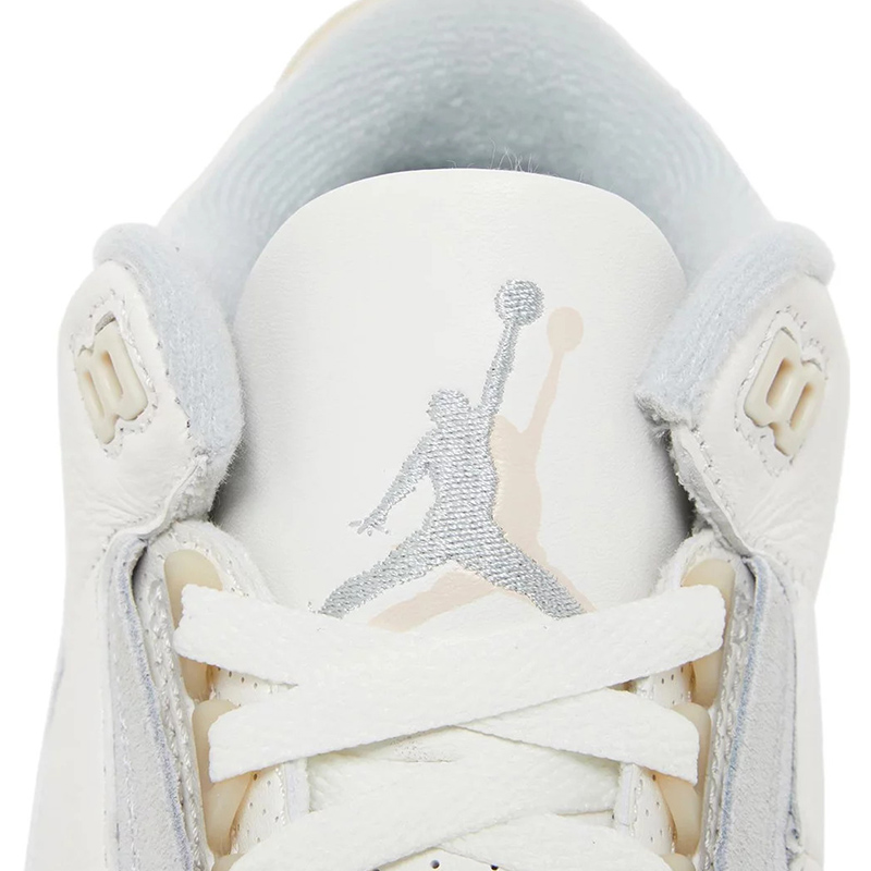 Air Jordan 3 Retro SE 