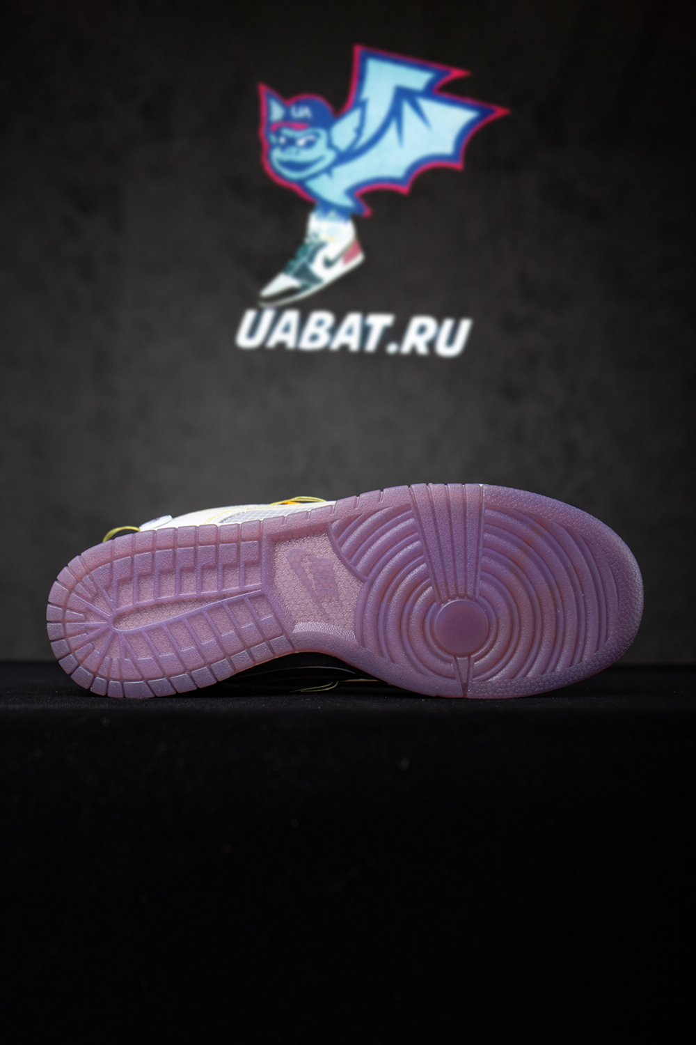 Union LA x Dunk Low 