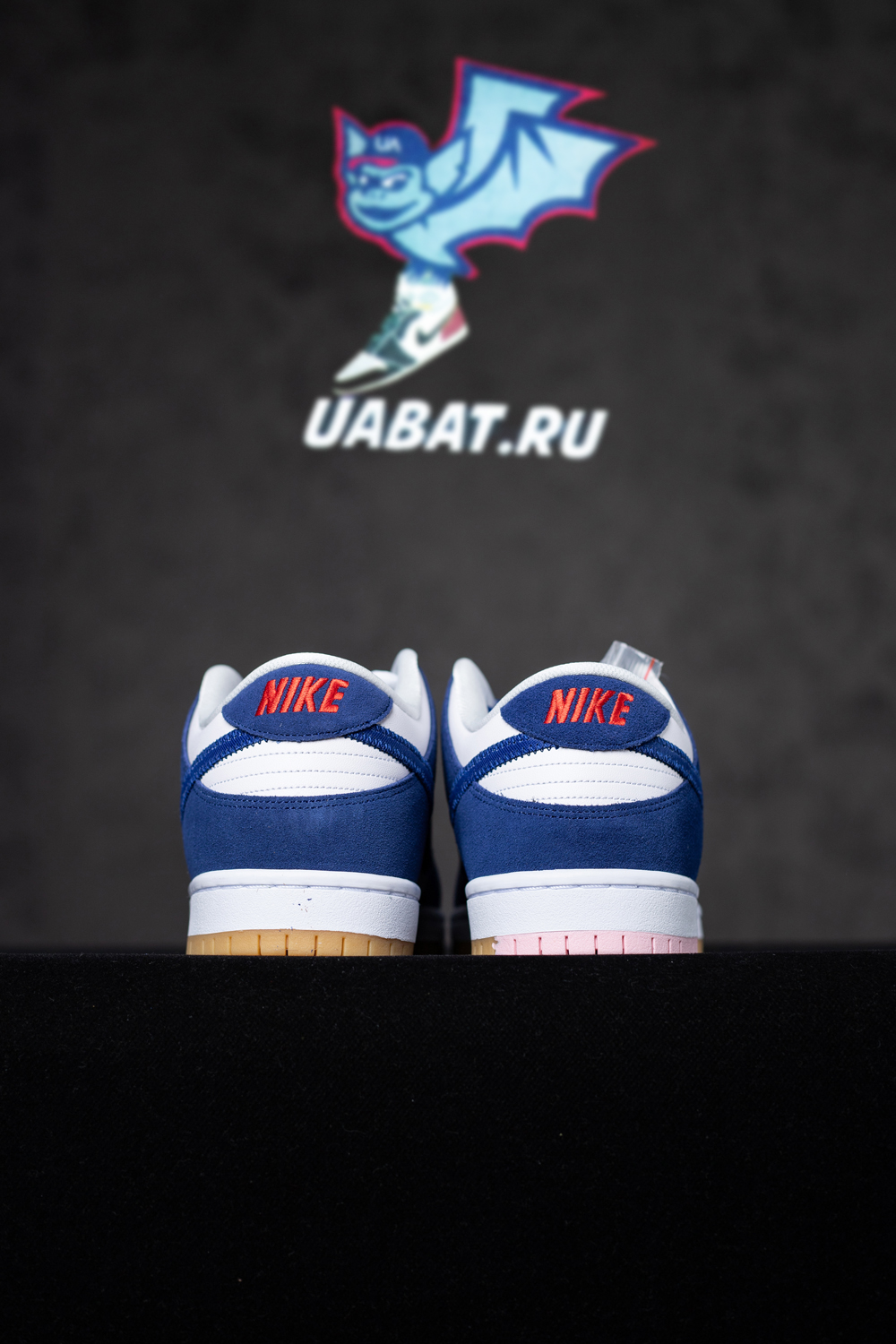 Dunk Low SB 